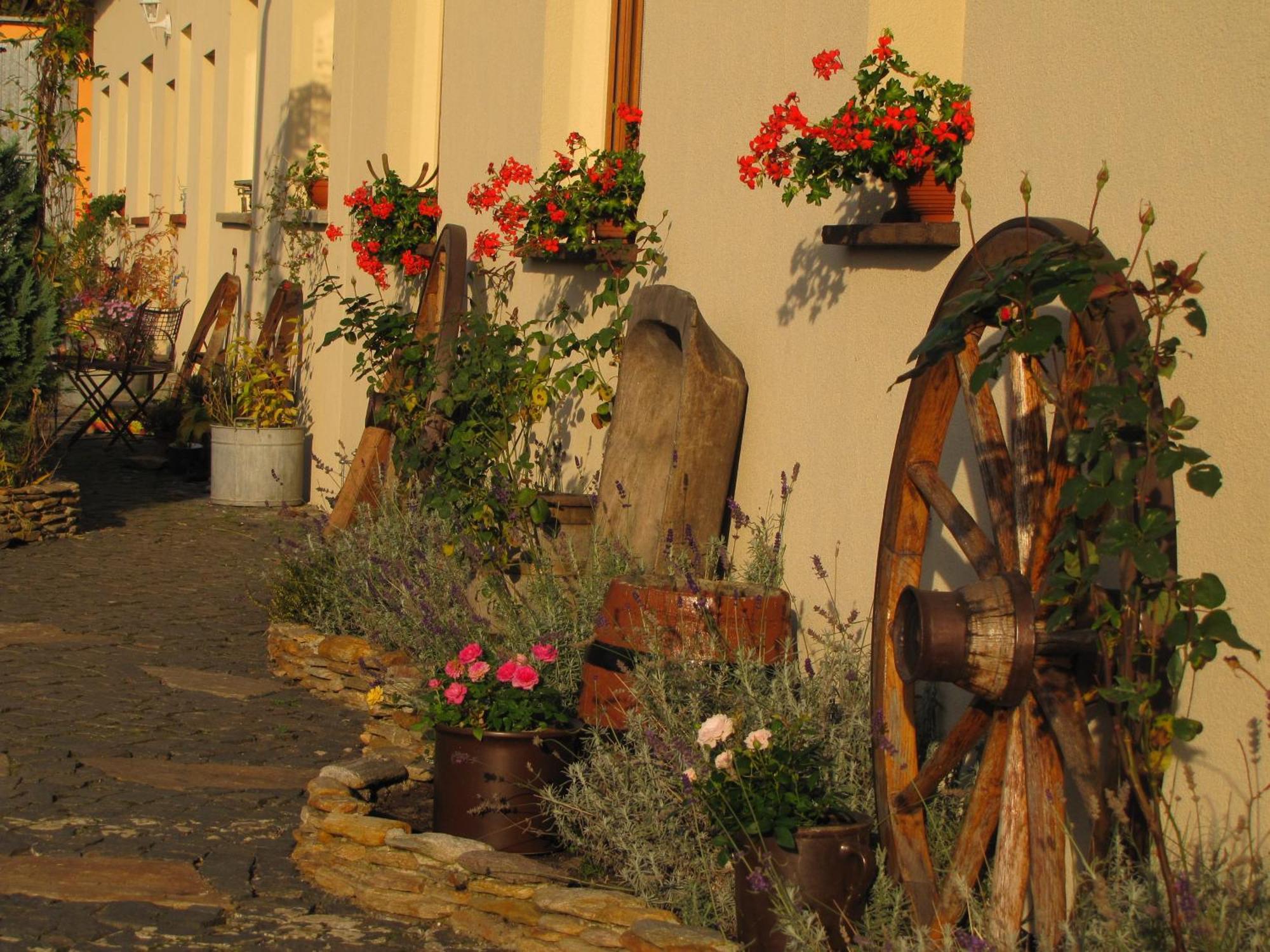 Pokoje Goscinne Skalnik - Agroturystyka Kostrzyn nad Odra Exterior photo